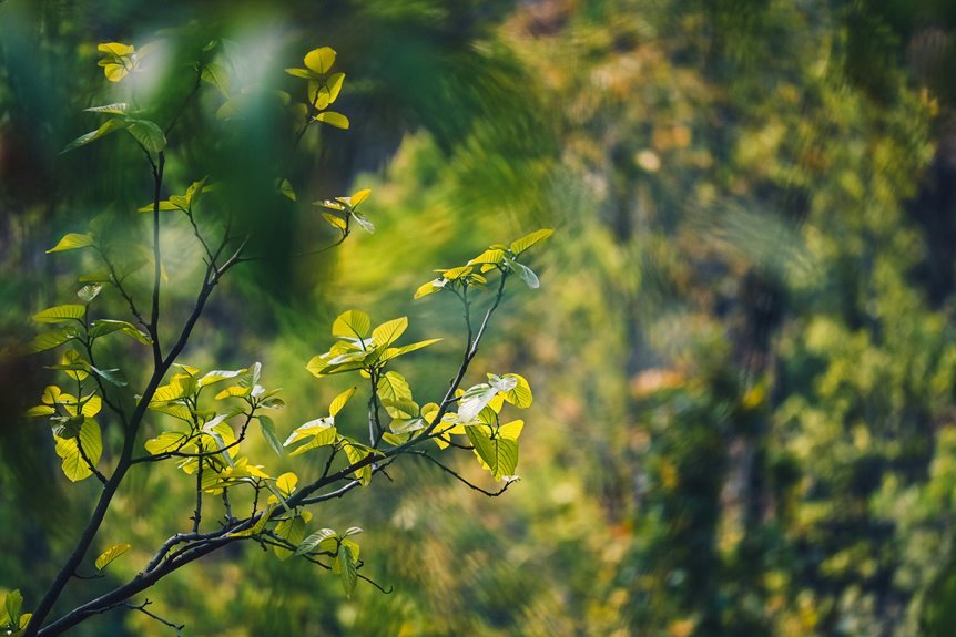 tech and energy investments