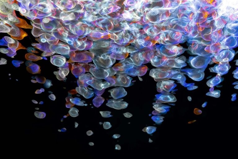 fusion beam identification code